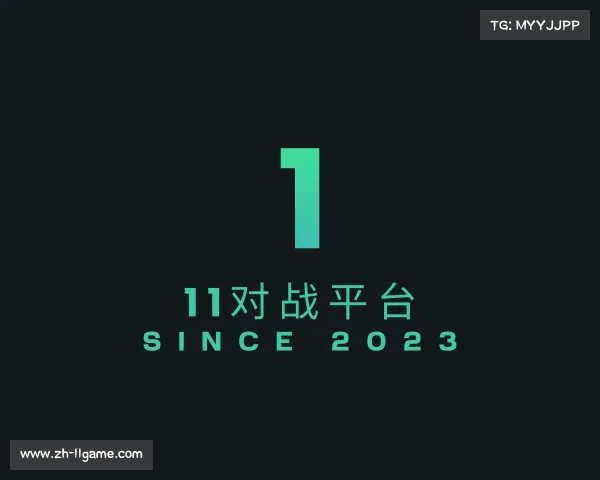 介绍11对战平台